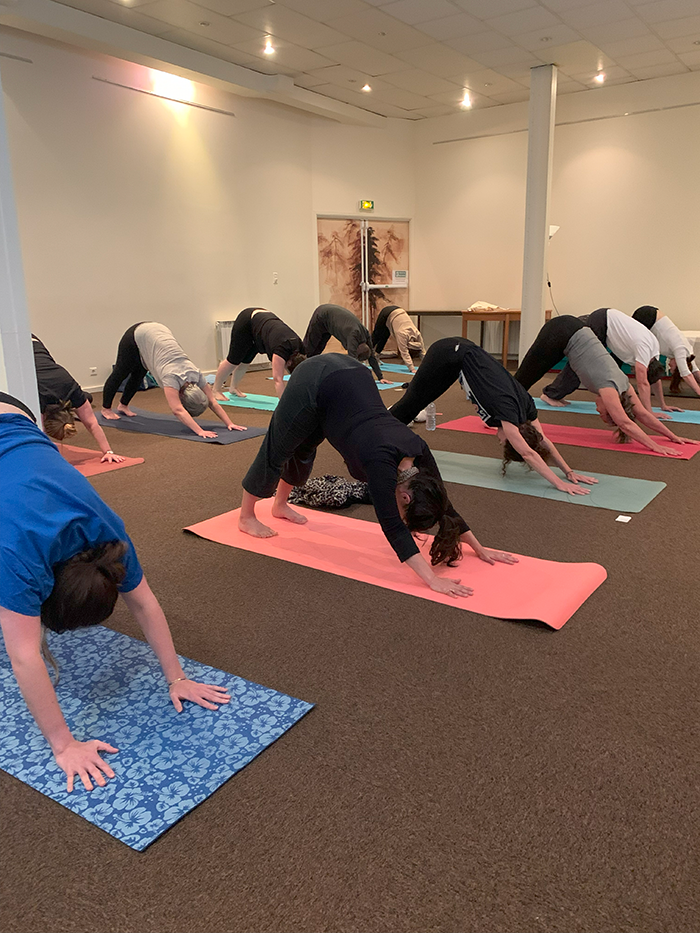 Yoga vinyasa - Hatha yoga - Yin Yoga - Adomukasvanasana - Chien tête en bas - Cours collectif - Bonne humeur - Yoga Paris 13